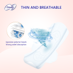 Anion Sanitary Pads Companies