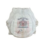 Baby Diapers Manufacturer - Free Samples Pull Up Pants