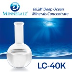 Deep Sea Minerals Concentrate Liquid Supplement Manufacturer for Adult Fatigue Relief - OEM Custom Formula