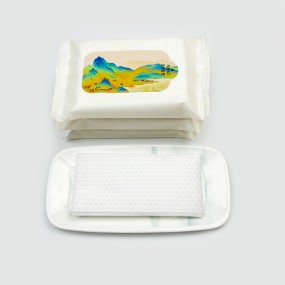 Wet Wipes Manufacturer - Affordable Heavy Duty Wet Wipes With Custom Printing Small Orders Accepted Quick Shipping