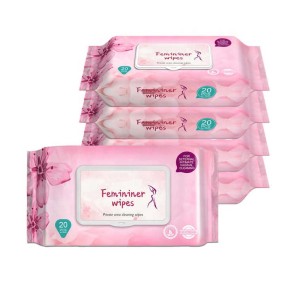 Women's Care Wipes Manufacturer - Factory Price Private Daily Cleaning