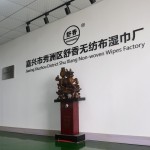 消毒餐饮湿巾工厂-实惠型一次性湿毛巾