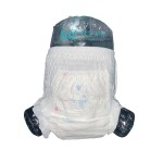 Baby Diapers Manufacturer - OEM China Wholesale Products Reasonable Price Training Pull up Pants Disposable
