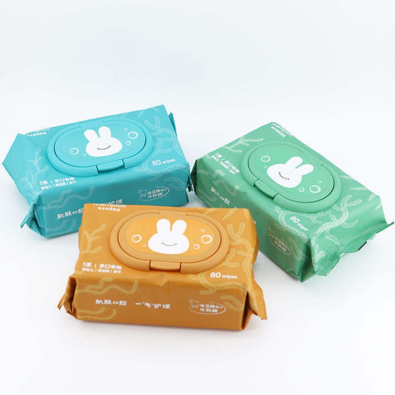 Cleaning Wet Wipes Supplier - OEM/ODM Custom Disposable Cleaning Wet Wipes Manufacturer