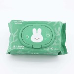 Cleaning Wet Wipes Supplier - OEM/ODM Custom Disposable Cleaning Wet Wipes Manufacturer