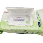 Disinfecting Wipes Factory - 100% Alcohol Disinfecting Cleaning Wipes Antibacterial Wet Wipes Manufacturer