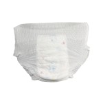 Baby Diapers Manufacturer - OEM China Wholesale Products Reasonable Price Training Pull up Pants Disposable