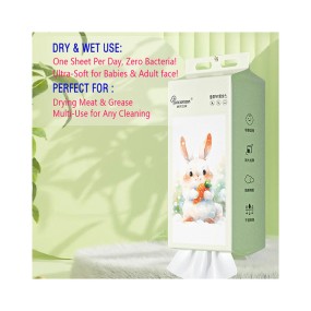 Dry Wipes Manufacturer - Factory Wholesales Customized 240pcs Disposable Hanging Dry Wipes 78g 20x20cm for Babies