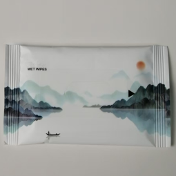 湿式清洁湿巾供应商-厂家可定制2片或3片