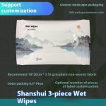湿式清洁湿巾供应商-厂家可定制2片或3片