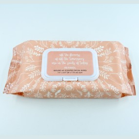 Face Wipes Supplier - Daily Life Disposable Formula Wipes Hypoallergenic Nonwoven Eco Friendly Face Wipes