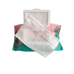 Baby Wet Wipes Factory - Daily Use Flushable Outdoor Travel Biodegradable Soft Bamboo Baby Wet Wipes plastic