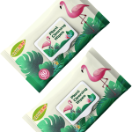 Plant Cleaning Wipes Factory - Custom Good Quality Toallitas Humedas Wipes Used for Plant Only Remove Dust