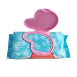 Cleaning Wipes Manufacturer - New-designed OEM wholesale household multi-purpose wet disposable economic 80pcs