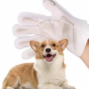 Pet Gloves Wipes Manufacturer - Biodegradable Organic Pet Gloves Finger Teeth Ear Eye Cleaning Wet Wipes