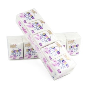 Pocket Tissue Supplier - Biodegradable Pocket Tissue Bulk Pocket Hand Kerchief Virgin Pulp Bamboo Facial