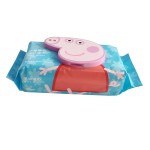 Cleaning Wipes Manufacturer - New-designed OEM wholesale household multi-purpose wet disposable economic 80pcs