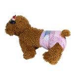 Diapers Manufacturer - Manufacturer Wholesale Disposable Diapers Soft and Cheap Price Supply for Female and Male