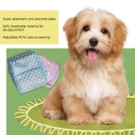 Diapers Manufacturer - Manufacturer Wholesale Disposable Diapers Soft and Cheap Price Supply for Female and Male