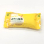 压缩湿毛巾供应商-可降解旅行面部