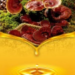 EU Organic Ganoderma Spore Oil Softgel Capsules Supplier - OEM Custom Easy to Swallow