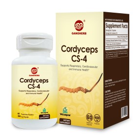 Pure Cordyceps Sinensis Mycelium Capsules Factory Direct - OEM Herbal Formula Daily Health Supplement