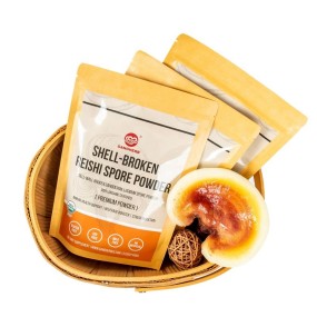 USDA Organic Reishi Mushroom Powder Manufacturer - OEM Custom with 4% Triterpenes