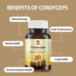 Cordyceps Militaris Capsules Manufacturer - OEM Wholesale for Vegetarians GMP Certified 350mg