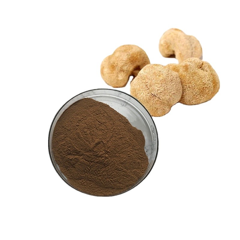 Hericium Erinaceus Extract Powder Factory - EU/USDA Organic Certified Custom Formula