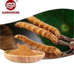 Pure Cordyceps Sinensis Mycelium Capsules Factory Direct - OEM Herbal Formula Daily Health Supplement