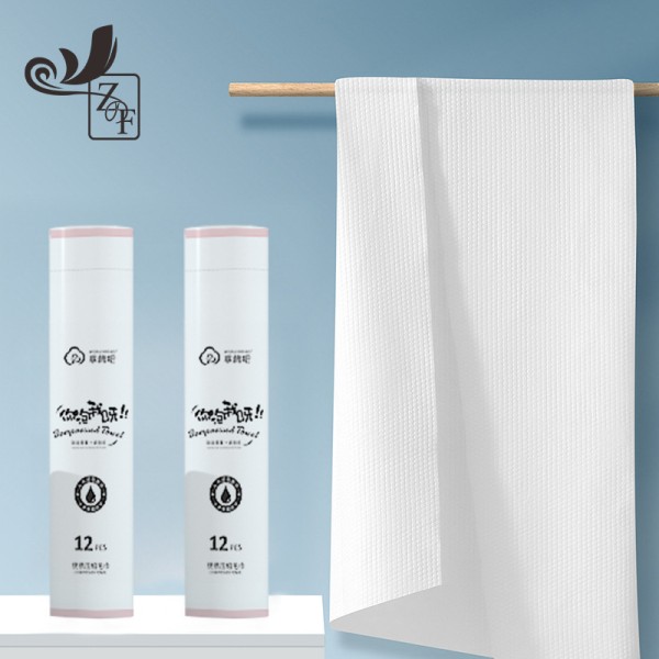 Compressed Towel Manufacturer - Disposable Water Large Coin Compressed Towel Tablets Travel Use