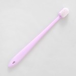 Toothbrush Factory - China Manufacturer Disposable Toothbrush Adults Biodegradable Wheat Straw Nice Price