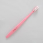 Toothbrush Factory - China Manufacturer Disposable Toothbrush Adults Biodegradable Wheat Straw Nice Price