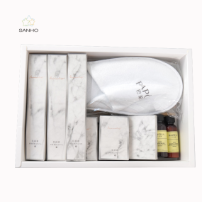 Hotel Facilities Supplier - One-stop Service High Quality Hotel Facilities Disposable Toothbrush with Toothpaste Soap
