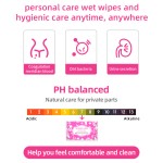 Intimate Wipes Supplier - Private Label Intimate Wipes for Women Organic Feminine Vaginal Wet Toilet Paper
