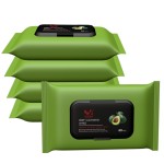 Makeup Remover Wipes Factory - Neutrogena Private Logo Make-up Remover Cleansing Towelettes Female Face Wipes 30 Sheets