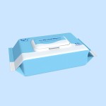 Disinfecting Wipes Supplier - Custom Surface Disinfecting and Sanitizing Wipes OEM Service