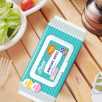 Disinfectant Wipes Factory - Custom Eco-Friendly Benzalkonium Chloride
