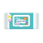 Hygienic Wet Wipes Manufacturer - OEM Quaternary Ammonium Salt 50pcs