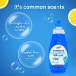 Dish Wash Soap Manufacturer - Biokleen Custom OEM USDA Dish Wash Soap Liquid 573ML Apple Scent Dishwashing Liquid