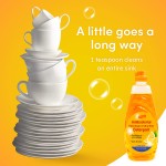 Dishwashing Liquid Factory - Biokleen Custom 96% USDA Stranded 19.4Fl Oz 573ML Lemon Orange Scented Dishwashing Liquid