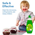 Dishwashing Liquid Factory - Biokleen Custom 96% USDA Stranded 19.4Fl Oz 573ML Lemon Orange Scented Dishwashing Liquid