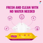 Pet Wet Tissue Manufacturer - Biokleen High Quality 100pcs Pet Wipes for Puppies Dog Deodorant Wipes Pet Wet Tissue