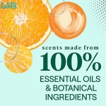 Dishwashing Liquid Factory - Biokleen Custom 96% USDA Stranded 19.4Fl Oz 573ML Lemon Orange Scented Dishwashing Liquid