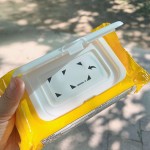 卫生湿巾厂家-Biokleen48片可冲散金缕梅孕期卫生湿巾药用痔疮湿巾