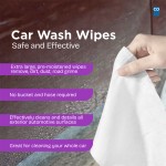 Car Cleaning Wipes Manufacturer - Biokleen OEM 90ct Car Cleaning Wipes Exterior Car Windshield Cleaning Wipes
