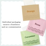 Body Wipes Manufacturer - Biokleen Individual Pack Deodorizing Body Wipes Refresh Travel Deodorant Wipes for Personal