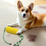 狗咬胶玩具供应商-玉米棒形状磨牙棒