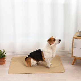 Pet Training Pad Manufacturer - Super Absorbent Waterproof