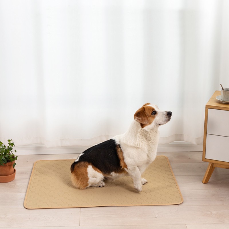 Pet Training Pad Manufacturer - Super Absorbent Waterproof